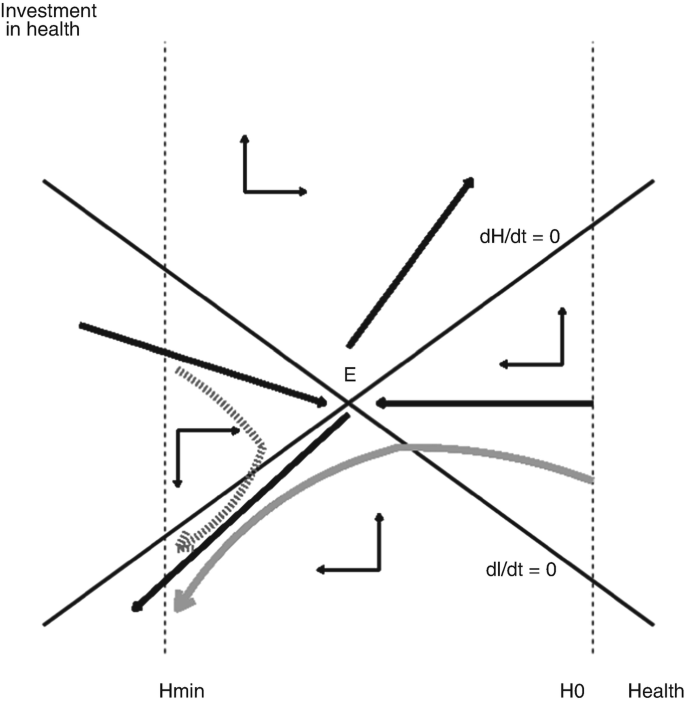 Route Split Criticism and Proposed Route Split Rewrite : r/WeCantStudy