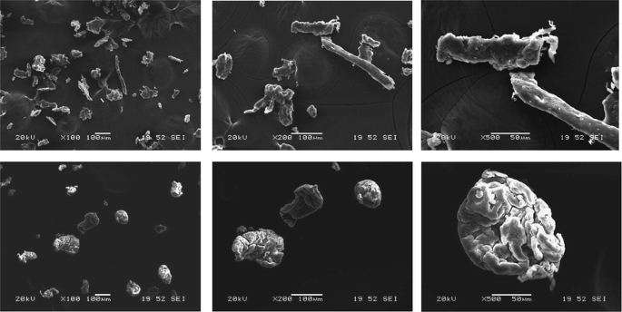 Particle Properties Impact On The Processing And Performance Of Oral Extended Release Hydrophilic Matrix Tablets Springerlink