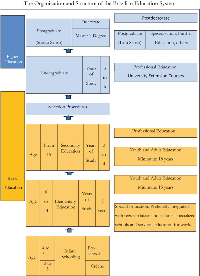 Brazil: An Overview of Research on Race and Ethnic Inequalities in Education  | SpringerLink