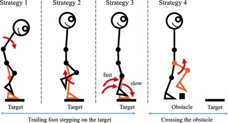 The Analysis of Foot-Eye Coordination Strategies Among Middle-Aged and  Elderly Adults: An Example of Foot Positioning Tasks | SpringerLink