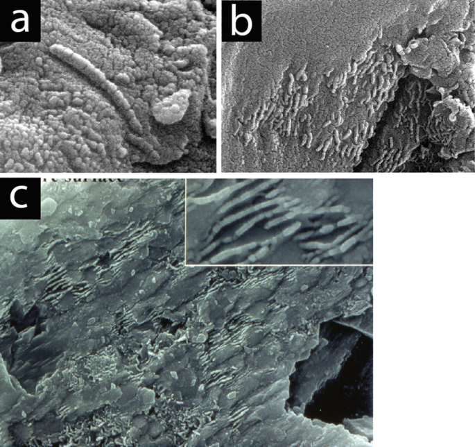 Martian Meteorite By Jsc/nasa/science Photo Library, 43% OFF