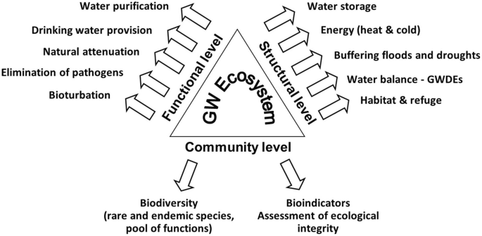 Groundwater ecosystem services: a review