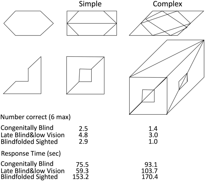 Mean proportion of steps produced by blind, blindfolded, and sighted