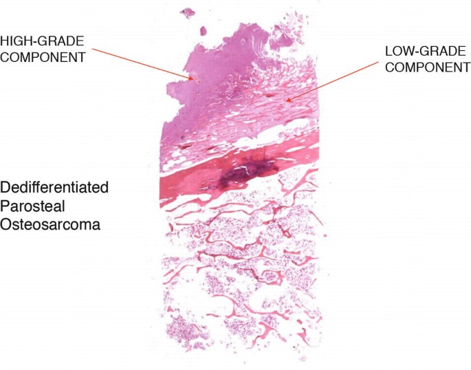 figure 107