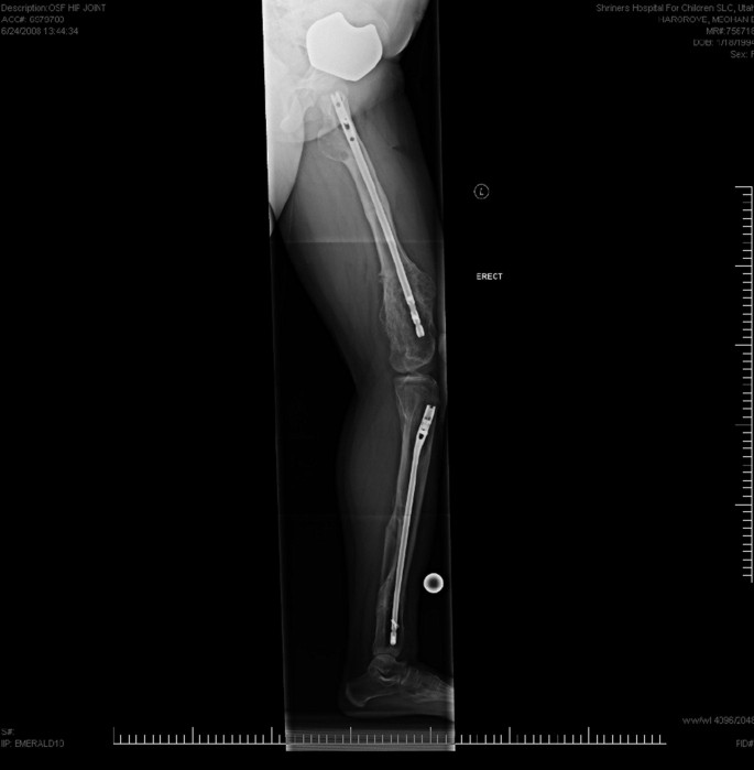 Bone Seamless Background Paper (107 W x 36' L) - SA 51-Config
