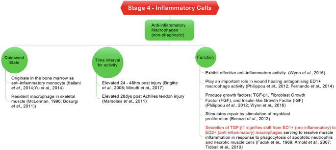 figure 26