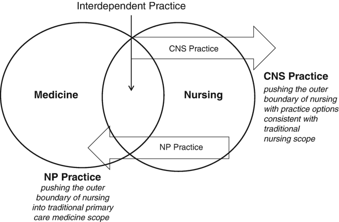 Conceptual Models for Clinical Nurse Specialist Role and Practice 