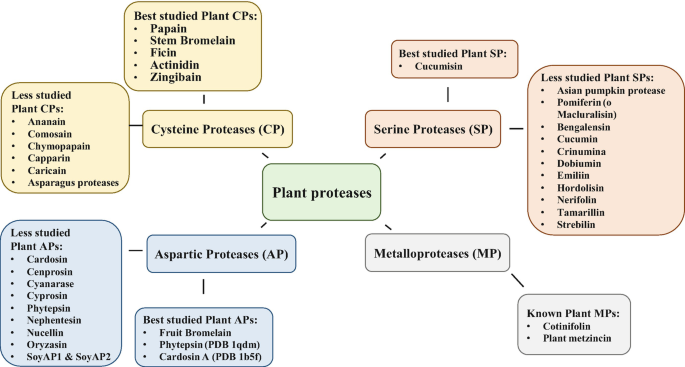Use of Plant Proteolytic Enzymes for Meat Processing | SpringerLink