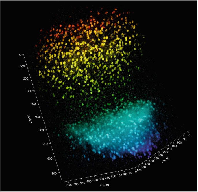 figure 15