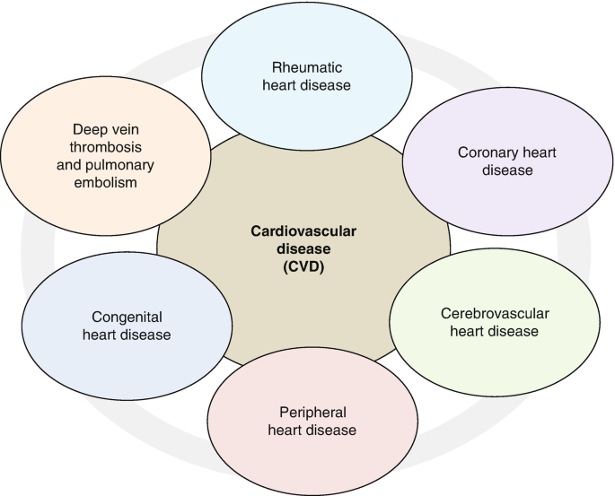 Interdisciplinary Care Model: Cardiovascular Diseases and Oral Health |  SpringerLink