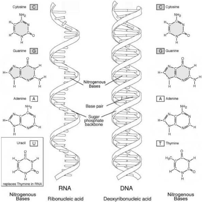 figure 21