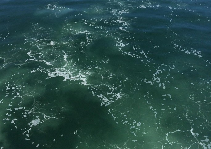 A photograph of the surface of a sea with mild waves.