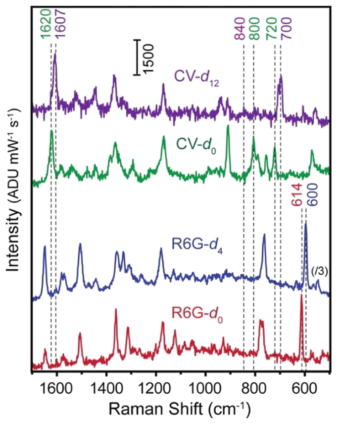 A graph for intensity versus Raman Shift has 4 fluctuating curves for C V d subscript 12 and 0 and R 6 G d subscript 4 and 0. It indicates peaks at 600, 614, 600, 720, 800, 840, 1607, and 1620.