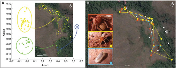 Hotspot in ferruginous rock may have serious implications in Brazilian  conservation policy