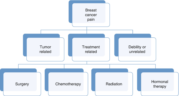 Breast Cancer Pain: A Review of Pathology and Interventional Techniques |  SpringerLink