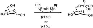 scheme 61_3