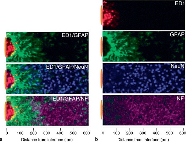 figure 2_184