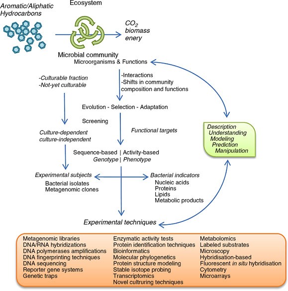 figure 1_336