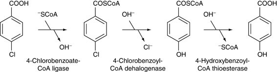 figure 5_61