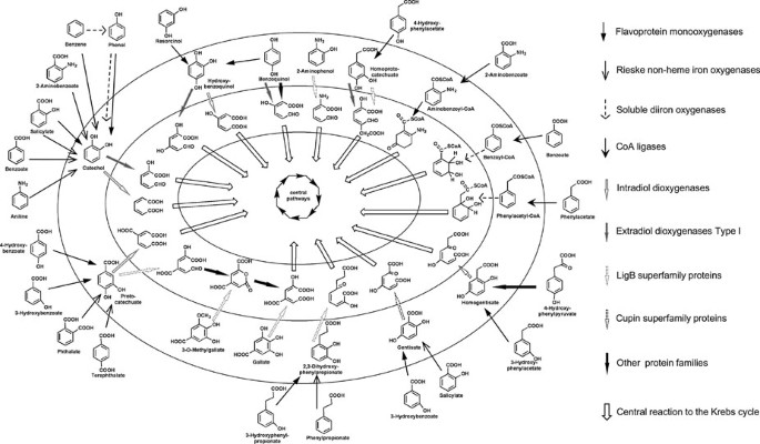 figure 1_95