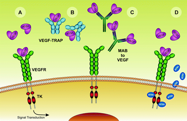 figure 1_9