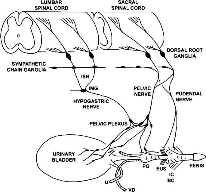 figure 1_4