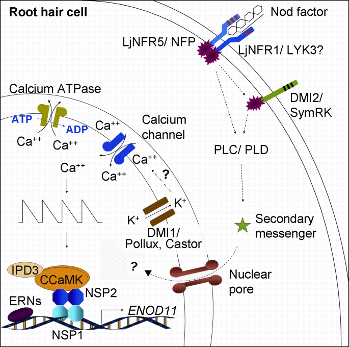 figure 2_4