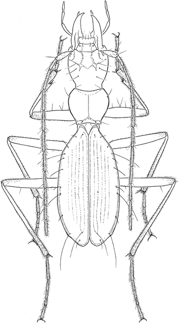 figure 2_4