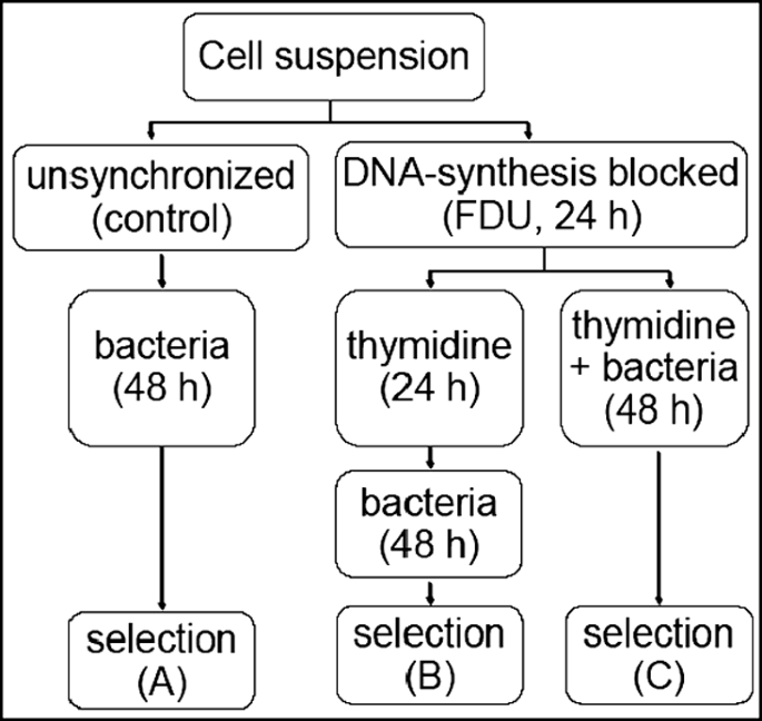 figure 15_13