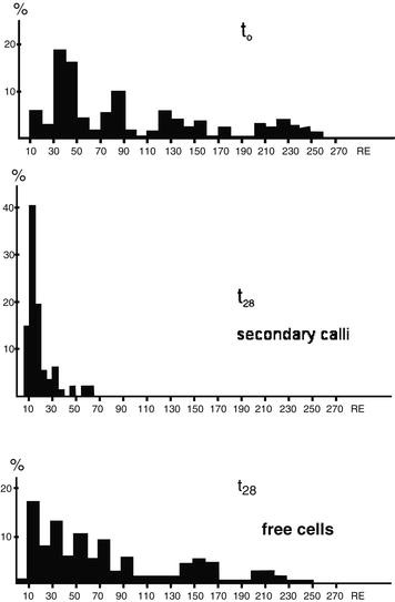 figure 5_4