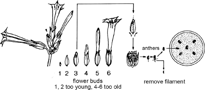 figure 2_6