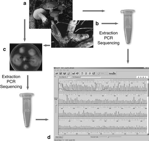 figure 5_10