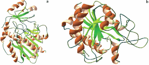 figure 18