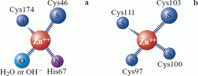 figure 33