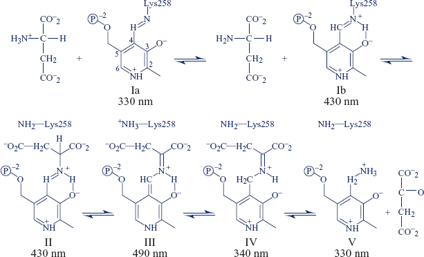 figure 53