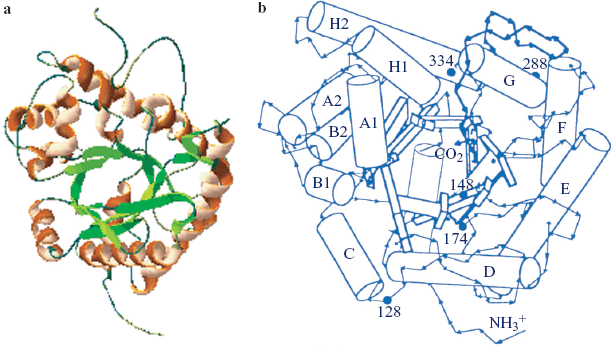 figure 55