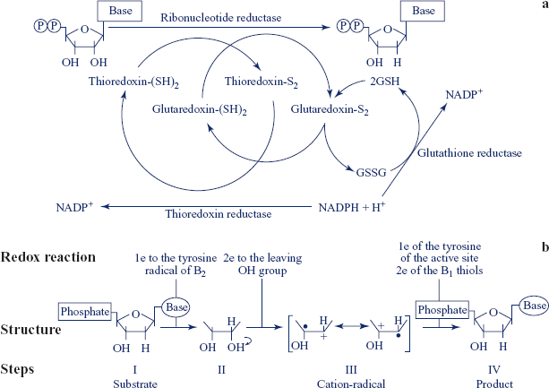 figure 34