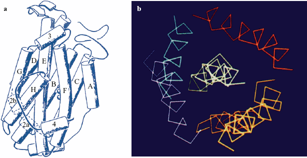 figure 36