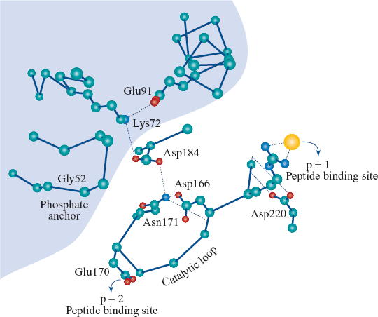 figure 57