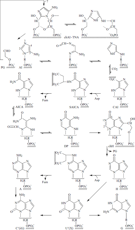 figure 8