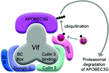 figure 2_1