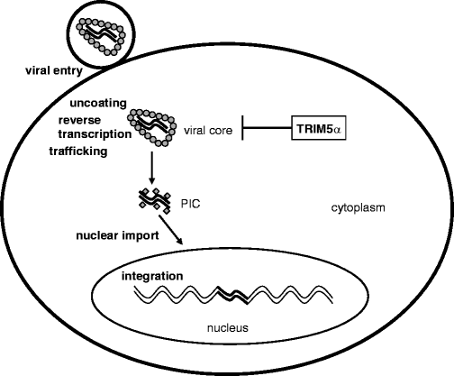 figure 1_3