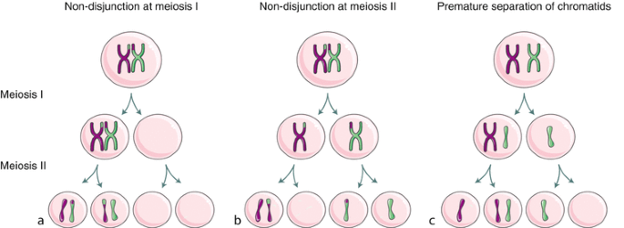 figure 3_4