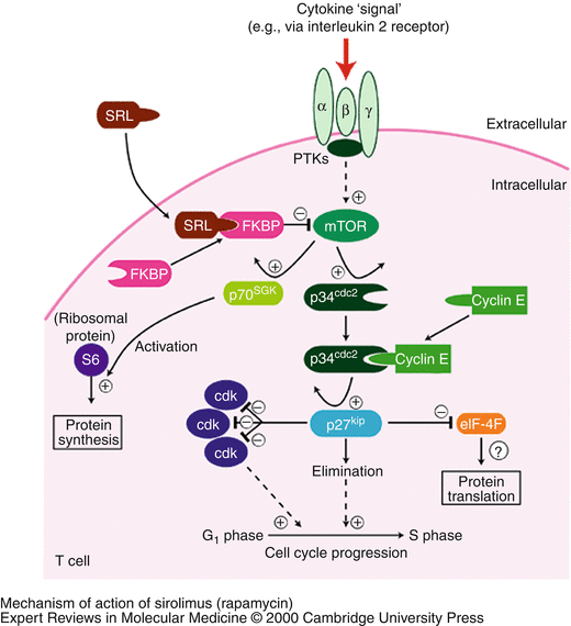 figure 2_6