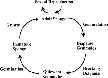 figure 1_11