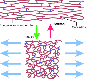 figure 4_3