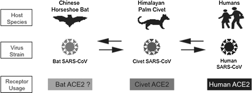 figure 1_13