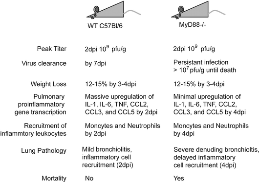 figure 3_13