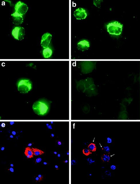 figure 2_18