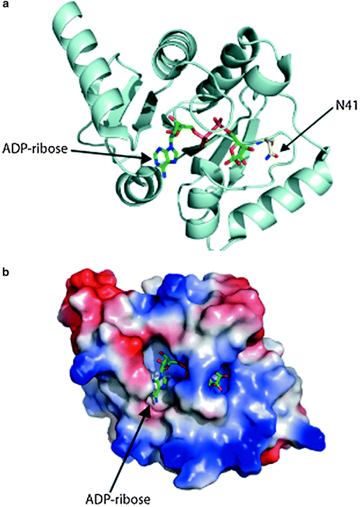 figure 1_7